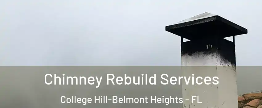 Chimney Rebuild Services College Hill-Belmont Heights - FL