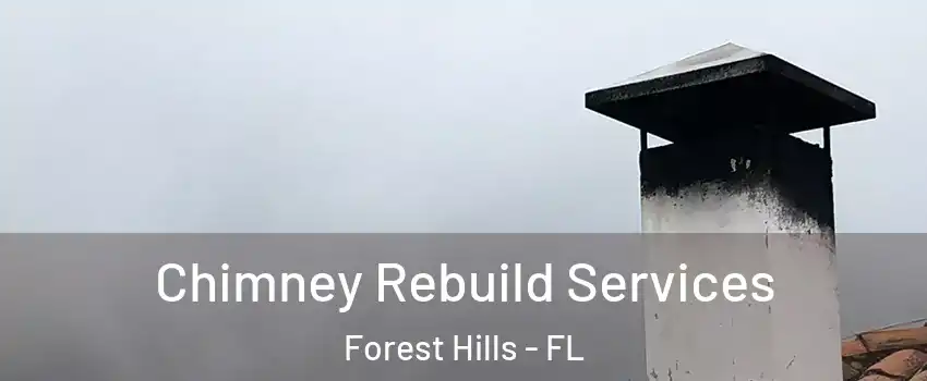 Chimney Rebuild Services Forest Hills - FL