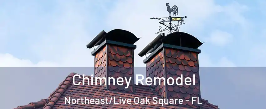 Chimney Remodel Northeast/Live Oak Square - FL