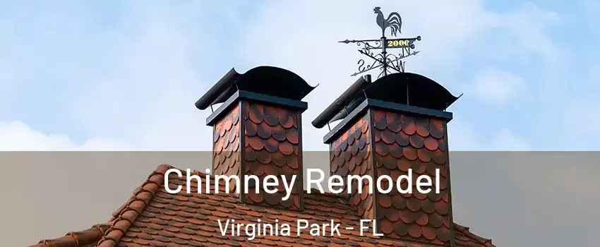 Chimney Remodel Virginia Park - FL