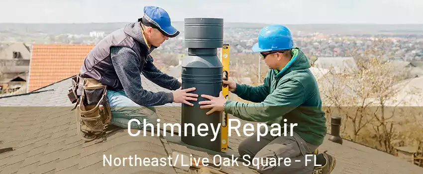 Chimney Repair Northeast/Live Oak Square - FL