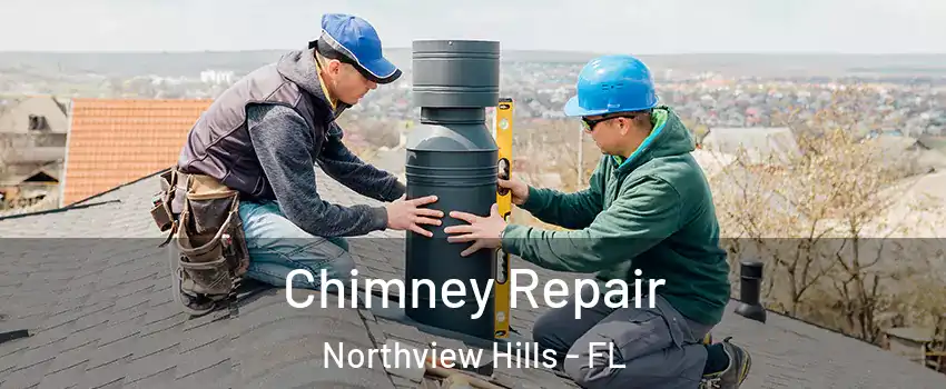 Chimney Repair Northview Hills - FL