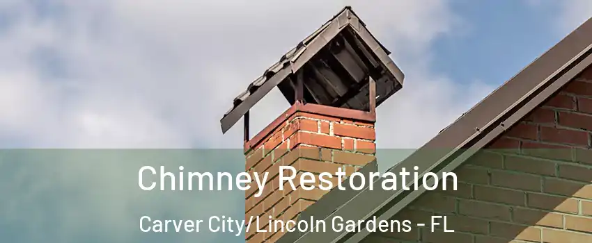 Chimney Restoration Carver City/Lincoln Gardens - FL