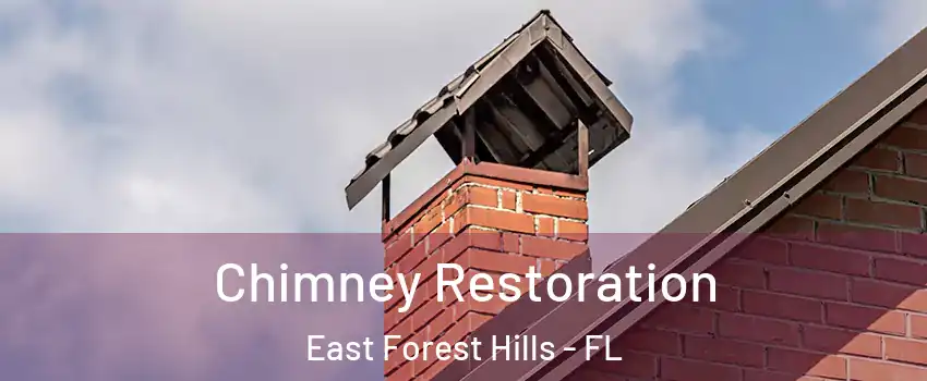 Chimney Restoration East Forest Hills - FL