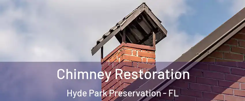 Chimney Restoration Hyde Park Preservation - FL