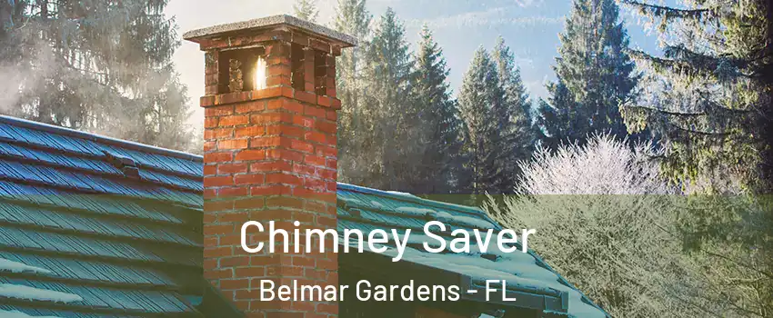 Chimney Saver Belmar Gardens - FL