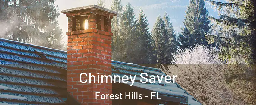 Chimney Saver Forest Hills - FL