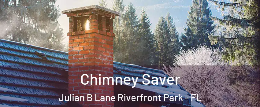 Chimney Saver Julian B Lane Riverfront Park - FL