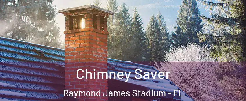 Chimney Saver Raymond James Stadium - FL