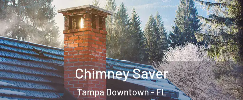 Chimney Saver Tampa Downtown - FL