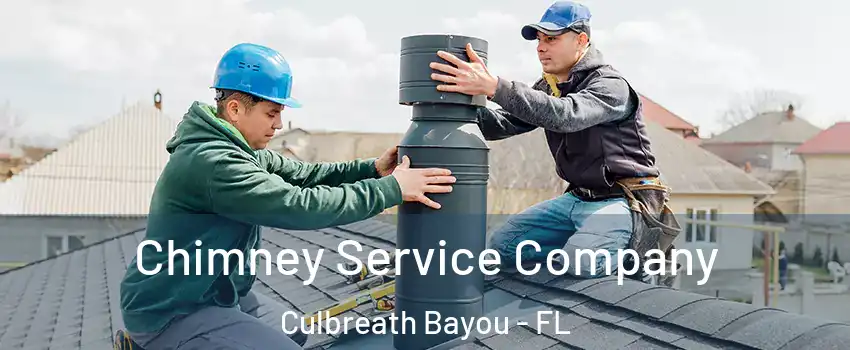 Chimney Service Company Culbreath Bayou - FL