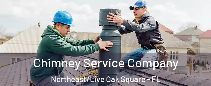 Chimney Service Company Northeast/Live Oak Square - FL