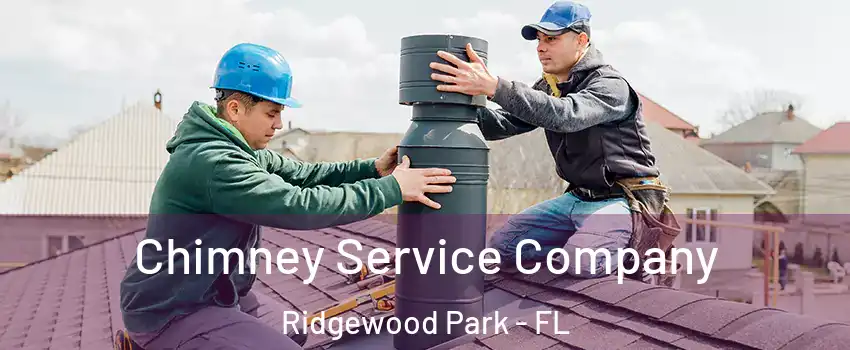 Chimney Service Company Ridgewood Park - FL