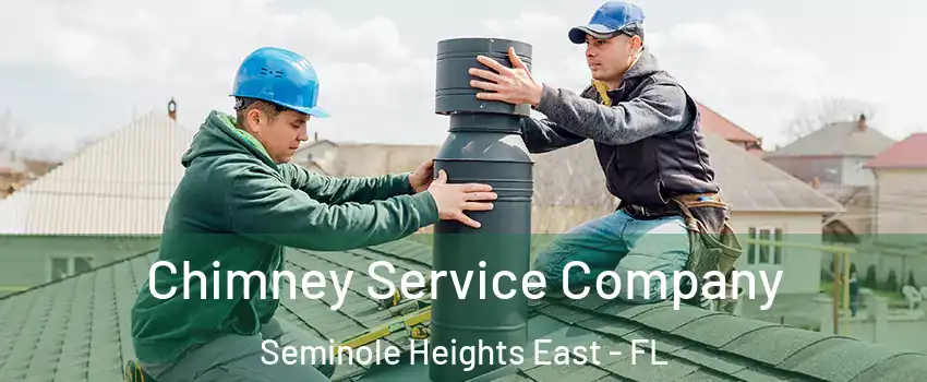 Chimney Service Company Seminole Heights East - FL