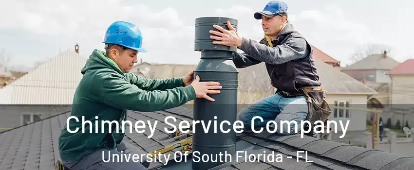 Chimney Service Company University Of South Florida - FL