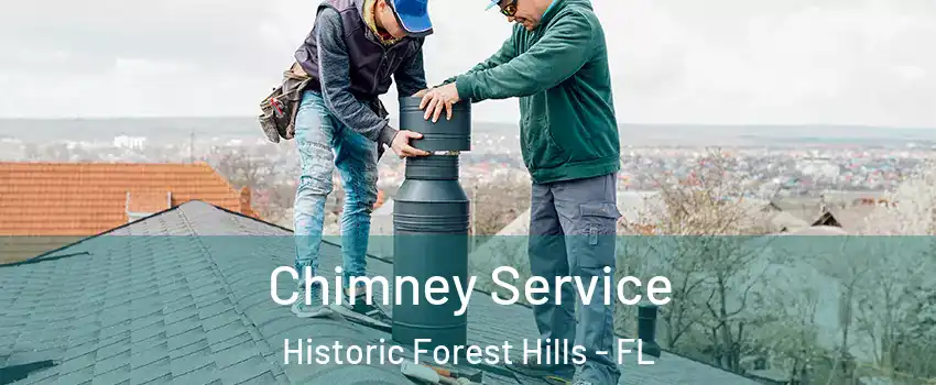 Chimney Service Historic Forest Hills - FL