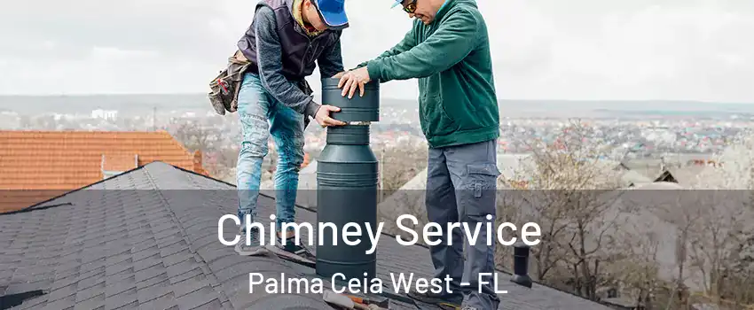 Chimney Service Palma Ceia West - FL