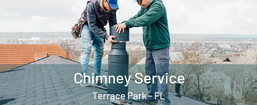 Chimney Service Terrace Park - FL