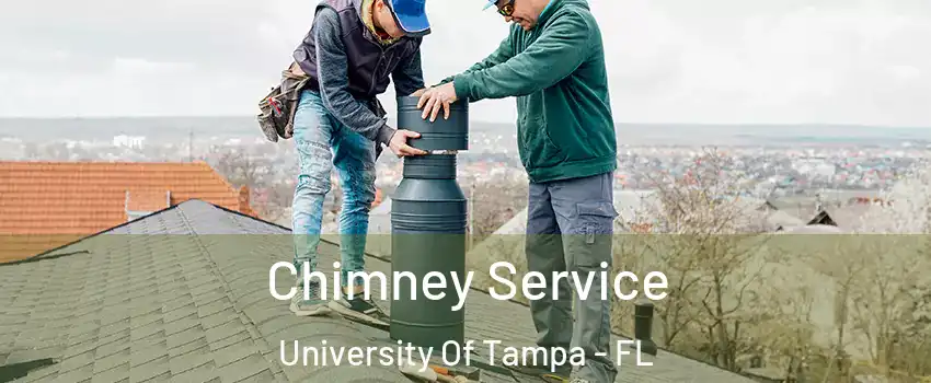 Chimney Service University Of Tampa - FL