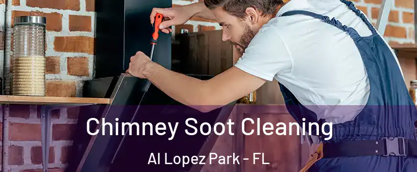 Chimney Soot Cleaning Al Lopez Park - FL