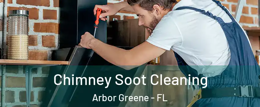 Chimney Soot Cleaning Arbor Greene - FL