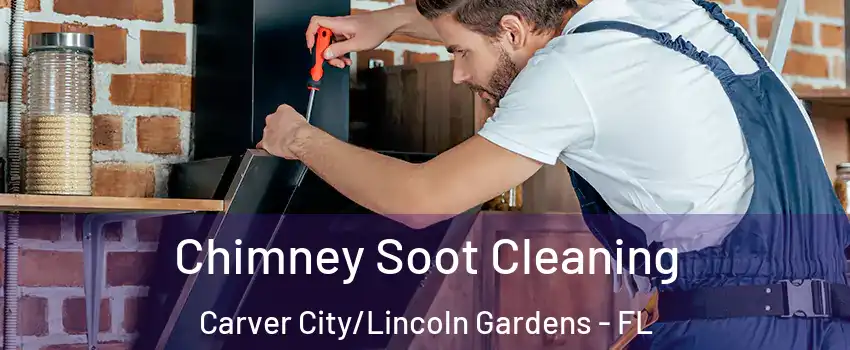 Chimney Soot Cleaning Carver City/Lincoln Gardens - FL