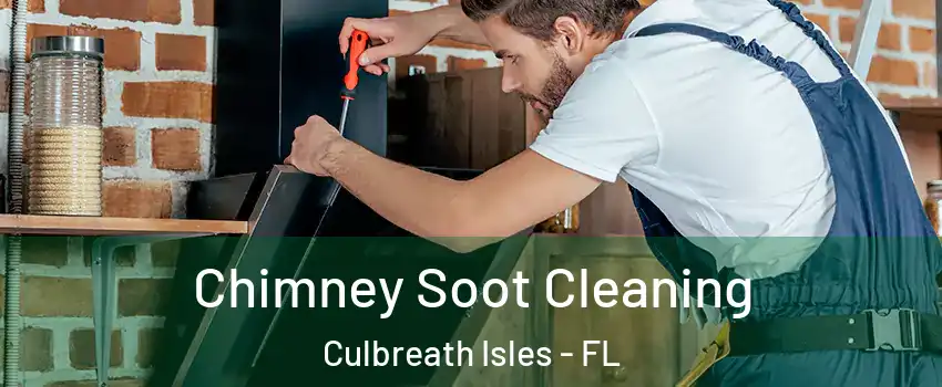 Chimney Soot Cleaning Culbreath Isles - FL