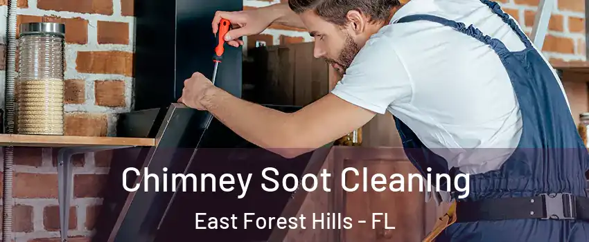 Chimney Soot Cleaning East Forest Hills - FL