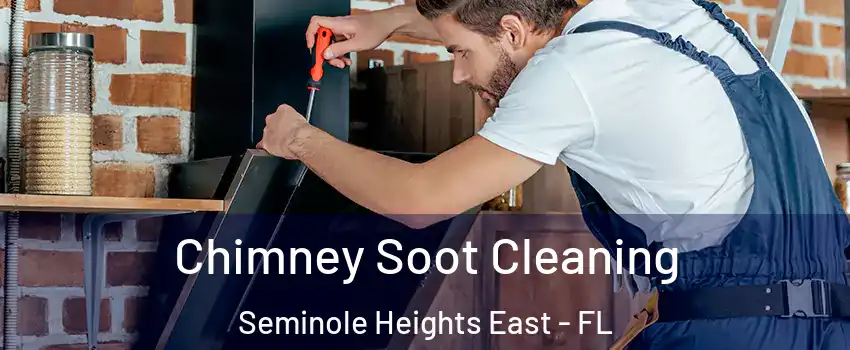 Chimney Soot Cleaning Seminole Heights East - FL