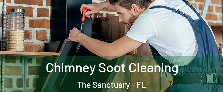 Chimney Soot Cleaning The Sanctuary - FL