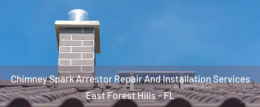 Chimney Spark Arrestor Repair And Installation Services East Forest Hills - FL