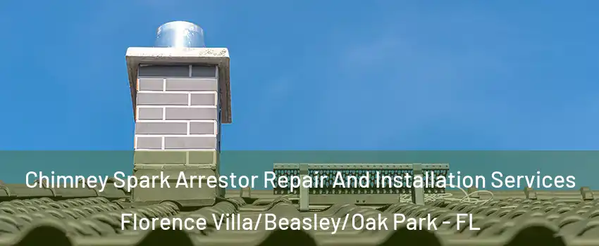 Chimney Spark Arrestor Repair And Installation Services Florence Villa/Beasley/Oak Park - FL