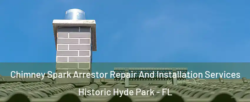 Chimney Spark Arrestor Repair And Installation Services Historic Hyde Park - FL