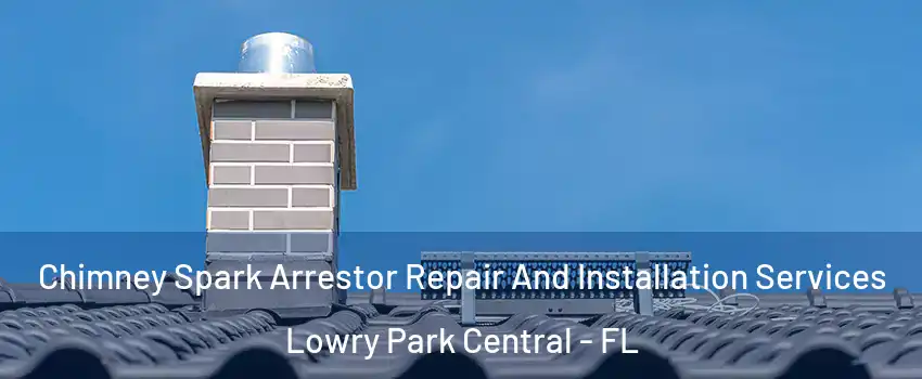 Chimney Spark Arrestor Repair And Installation Services Lowry Park Central - FL