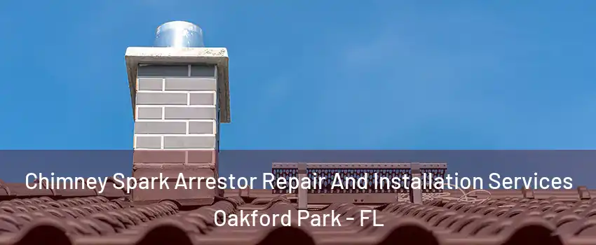 Chimney Spark Arrestor Repair And Installation Services Oakford Park - FL