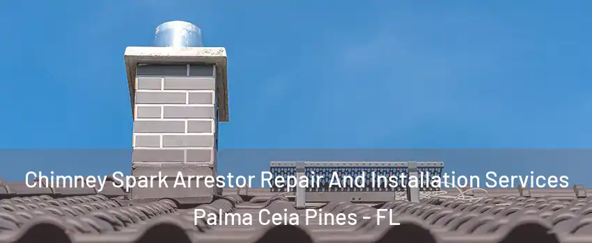 Chimney Spark Arrestor Repair And Installation Services Palma Ceia Pines - FL