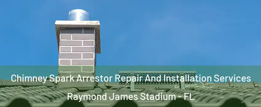 Chimney Spark Arrestor Repair And Installation Services Raymond James Stadium - FL