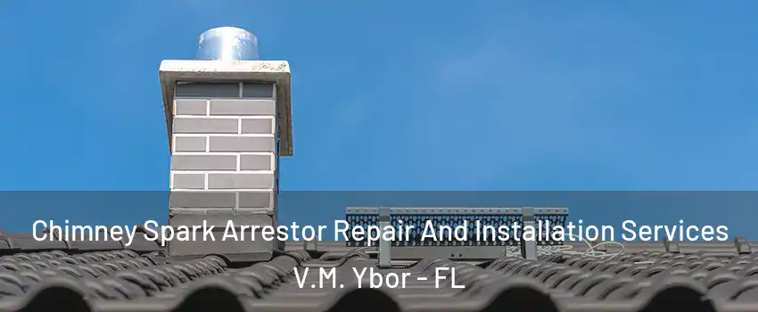 Chimney Spark Arrestor Repair And Installation Services V.M. Ybor - FL