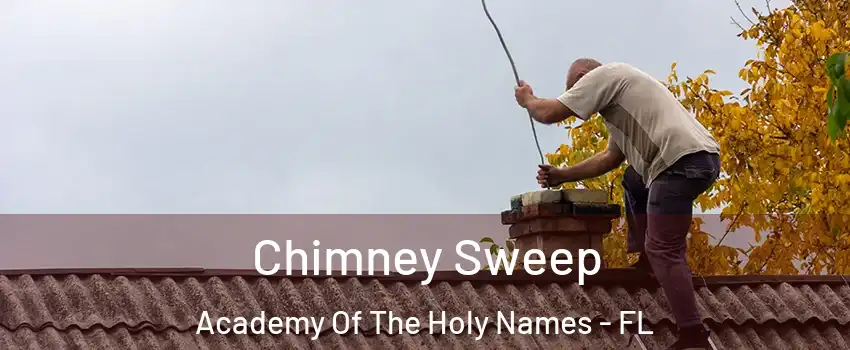 Chimney Sweep Academy Of The Holy Names - FL