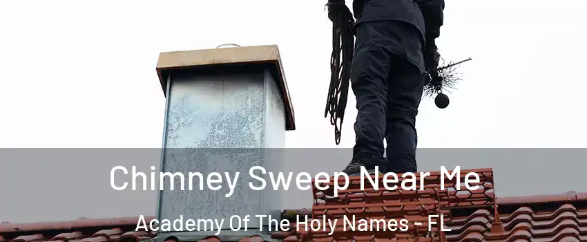 Chimney Sweep Near Me Academy Of The Holy Names - FL