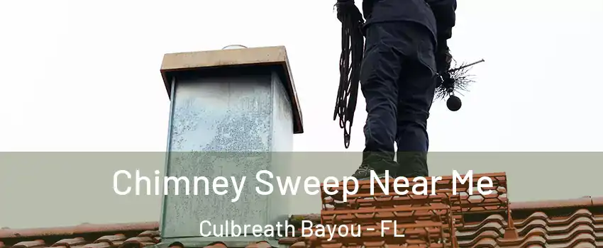 Chimney Sweep Near Me Culbreath Bayou - FL