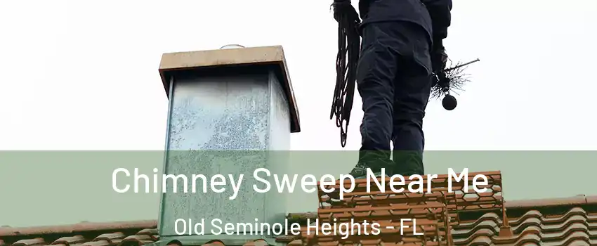 Chimney Sweep Near Me Old Seminole Heights - FL