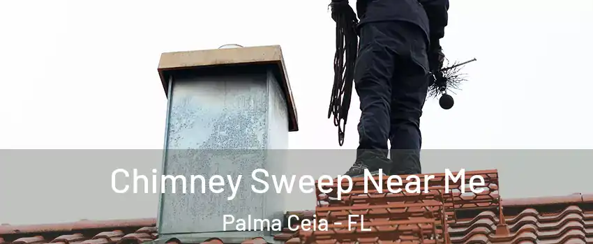 Chimney Sweep Near Me Palma Ceia - FL