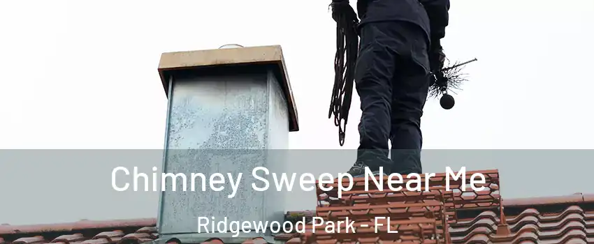 Chimney Sweep Near Me Ridgewood Park - FL