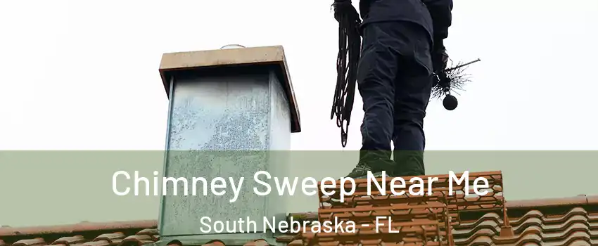 Chimney Sweep Near Me South Nebraska - FL