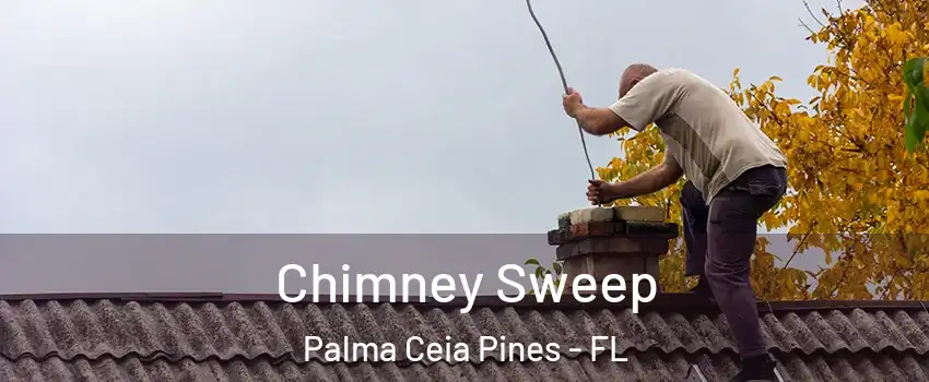 Chimney Sweep Palma Ceia Pines - FL