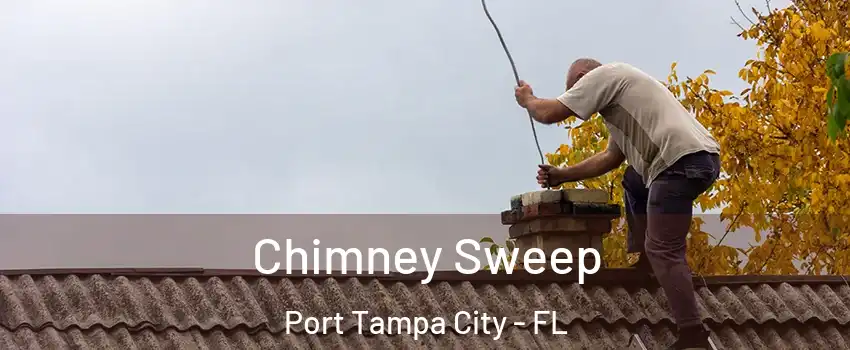 Chimney Sweep Port Tampa City - FL