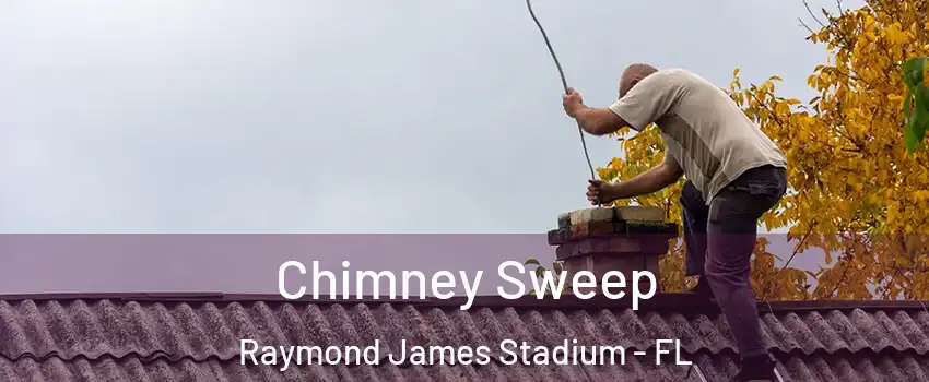 Chimney Sweep Raymond James Stadium - FL