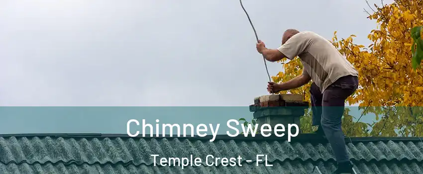 Chimney Sweep Temple Crest - FL