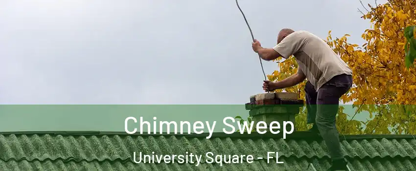 Chimney Sweep University Square - FL